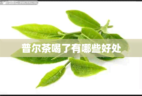 普尔茶喝了有哪些好处