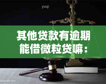 其他贷款有逾期能借微粒贷嘛：网贷逾期后，还能在微粒贷上借款吗？