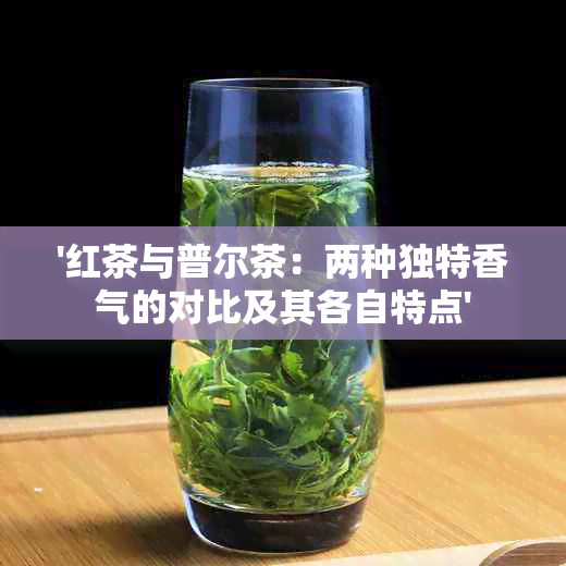 '红茶与普尔茶：两种独特香气的对比及其各自特点'