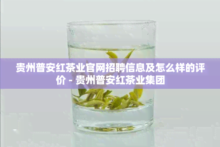 贵州普安红茶业官网招聘信息及怎么样的评价 - 贵州普安红茶业集团