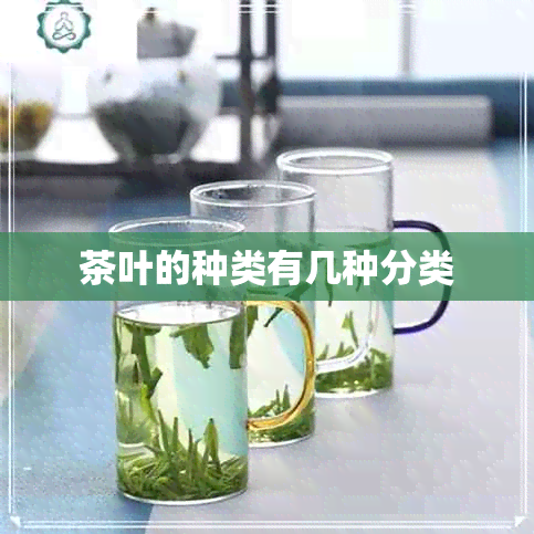 茶叶的种类有几种分类