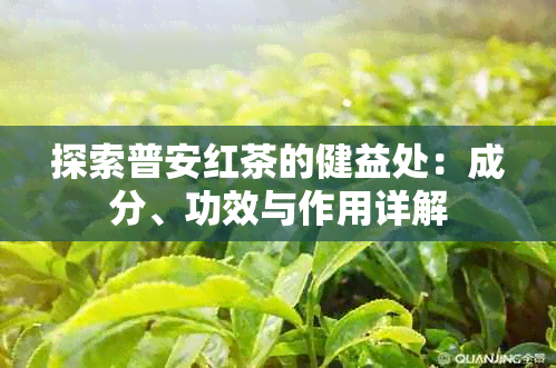 探索普安红茶的健益处：成分、功效与作用详解