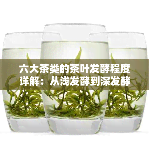 六大茶类的茶叶发酵程度详解：从浅发酵到深发酵，一文了解所有信息