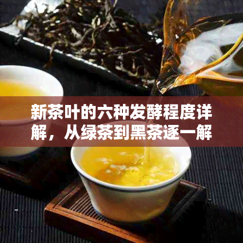 新茶叶的六种发酵程度详解，从绿茶到黑茶逐一解析