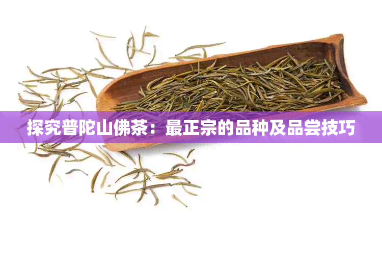 探究普陀山佛茶：最正宗的品种及品尝技巧