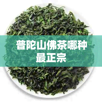 普陀山佛茶哪种最正宗