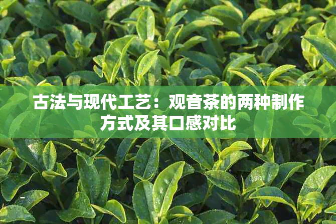 古法与现代工艺：观音茶的两种制作方式及其口感对比