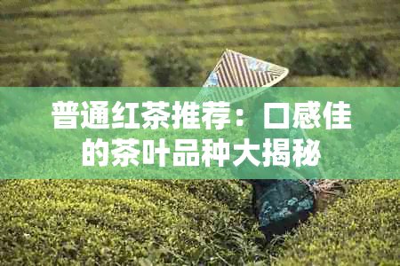 普通红茶推荐：口感佳的茶叶品种大揭秘