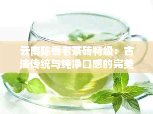 云南陈香老茶砖特级：古法传统与纯净口感的完美融合