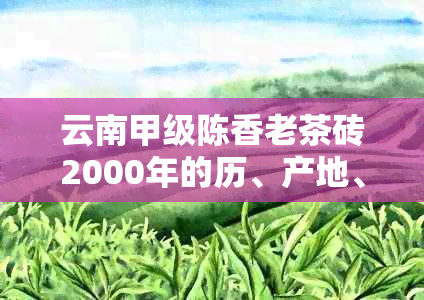 云南甲级陈香老茶砖2000年的历、产地、品质、价格以及购买指南