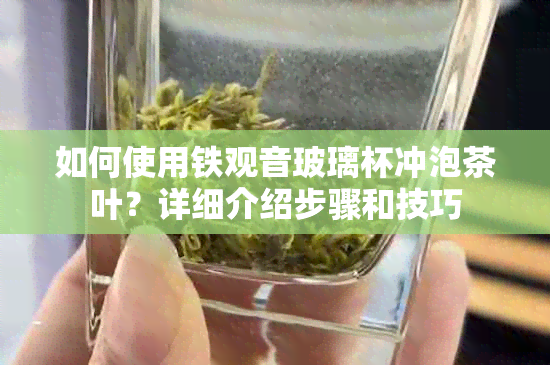 如何使用铁观音玻璃杯冲泡茶叶？详细介绍步骤和技巧