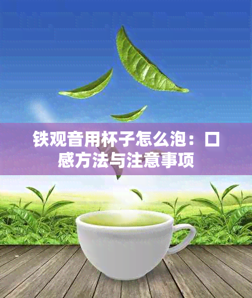 铁观音用杯子怎么泡：口感方法与注意事项