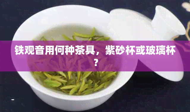 铁观音用何种茶具，紫砂杯或玻璃杯？