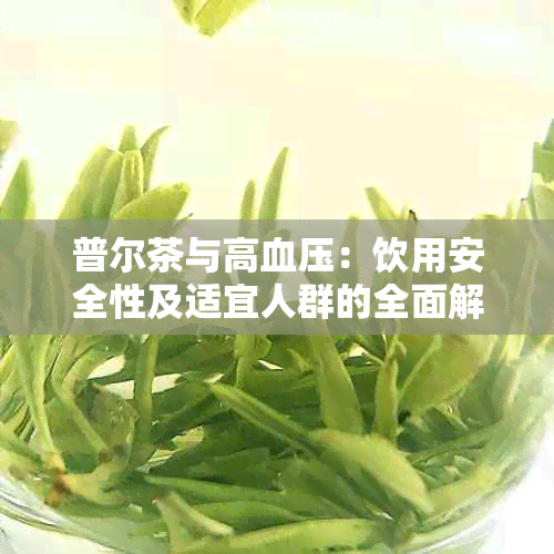 普尔茶与高血压：饮用安全性及适宜人群的全面解析