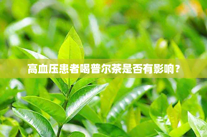 高血压患者喝普尔茶是否有影响？