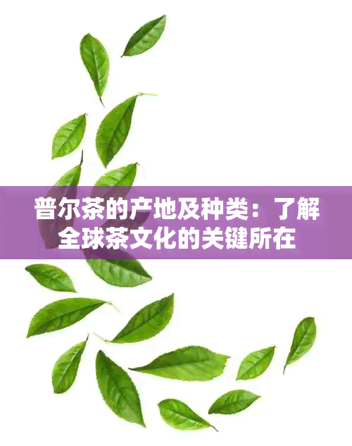 普尔茶的产地及种类：了解全球茶文化的关键所在