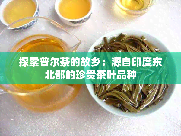 探索普尔茶的故乡：源自印度东北部的珍贵茶叶品种