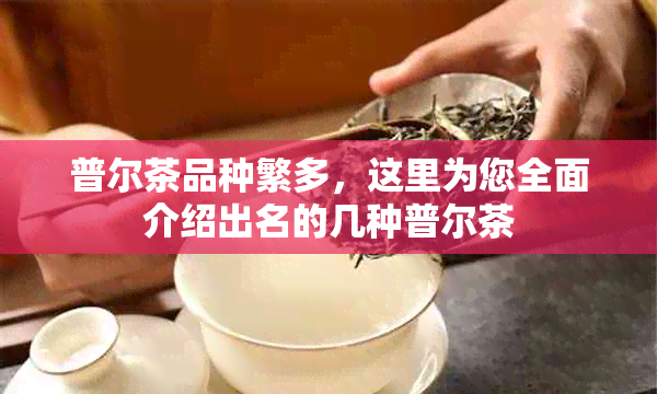 普尔茶品种繁多，这里为您全面介绍出名的几种普尔茶