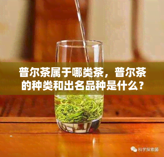 普尔茶属于哪类茶，普尔茶的种类和出名品种是什么？