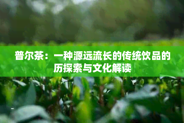 普尔茶：一种源远流长的传统饮品的历探索与文化解读