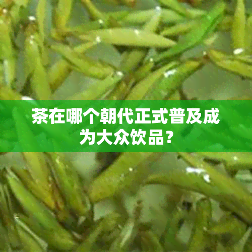 茶在哪个朝代正式普及成为大众饮品？