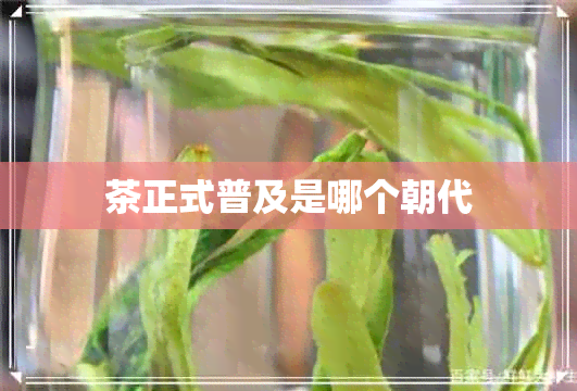 茶正式普及是哪个朝代