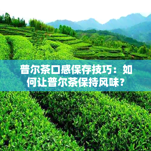 普尔茶口感保存技巧：如何让普尔茶保持风味？