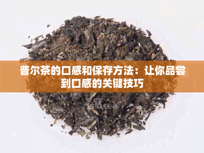 普尔茶的口感和保存方法：让你品尝到口感的关键技巧