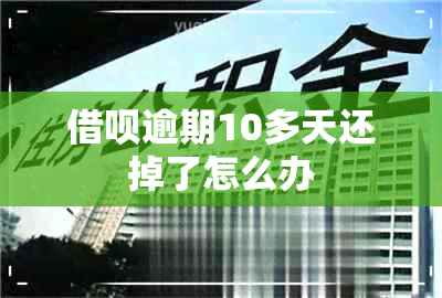 借呗逾期10多天还掉了怎么办