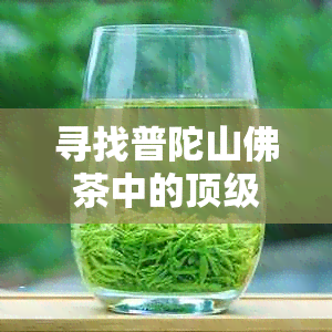 寻找普陀山佛茶中的顶级：一个全面的比较与评价