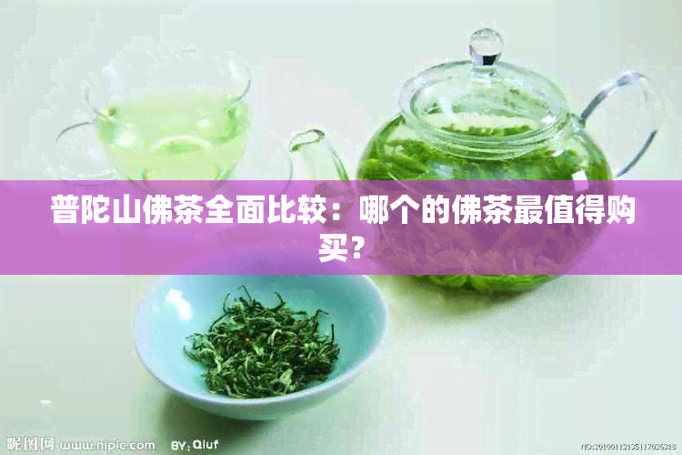 普陀山佛茶全面比较：哪个的佛茶最值得购买？