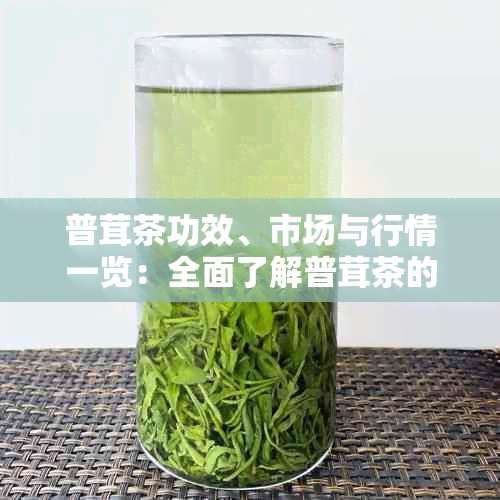 普茸茶功效、市场与行情一览：全面了解普茸茶的相关信息和价格动态