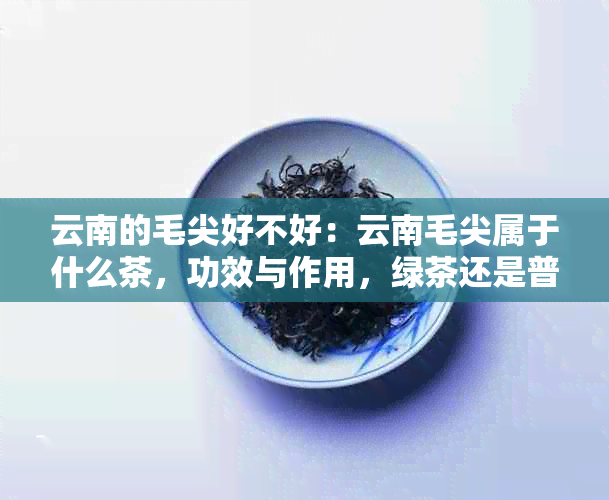 云南的毛尖好不好：云南毛尖属于什么茶，功效与作用，绿茶还是普洱茶？