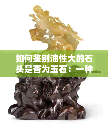 如何鉴别油性大的石头是否为玉石：一种全面的分析方法