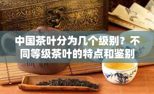 中国茶叶分为几个级别？不同等级茶叶的特点和鉴别方法有哪些？