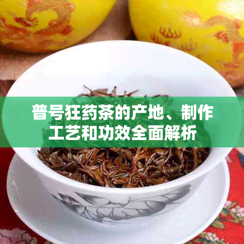 普号狂茶的产地、制作工艺和功效全面解析