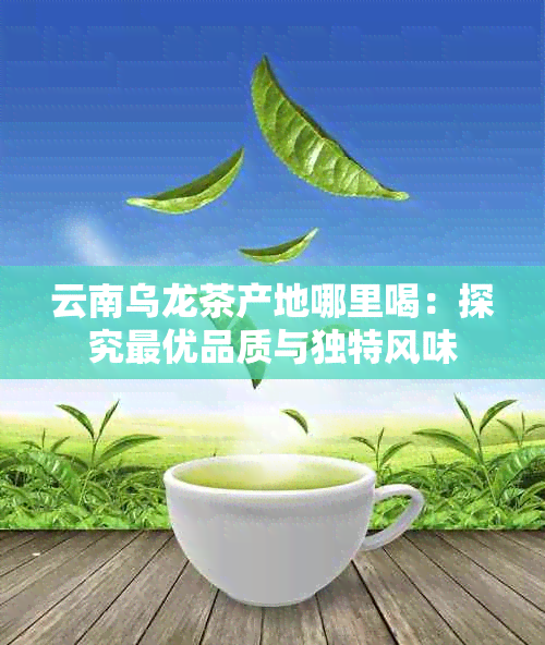 云南乌龙茶产地哪里喝：探究更优品质与独特风味