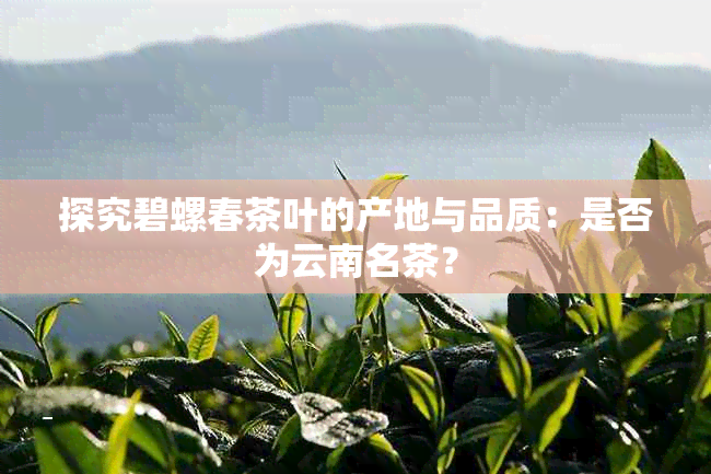 探究碧螺春茶叶的产地与品质：是否为云南名茶？