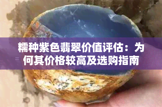 糯种紫色翡翠价值评估：为何其价格较高及选购指南