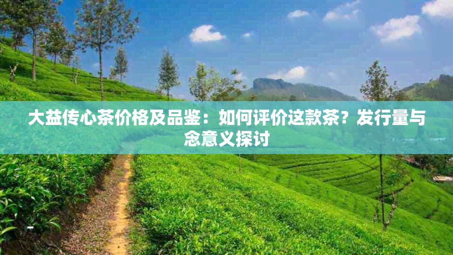 大益传心茶价格及品鉴：如何评价这款茶？发行量与念意义探讨