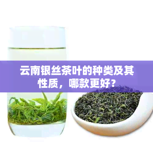 云南银丝茶叶的种类及其性质，哪款更好？