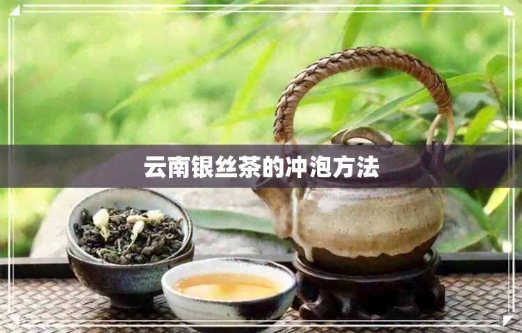 云南银丝茶的冲泡方法