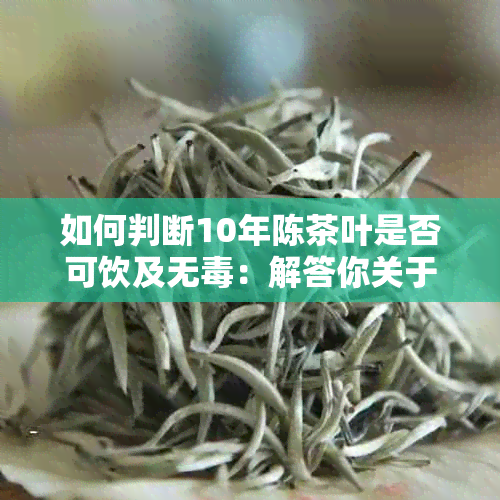 如何判断10年陈茶叶是否可饮及无：解答你关于茶叶存放多年的疑问