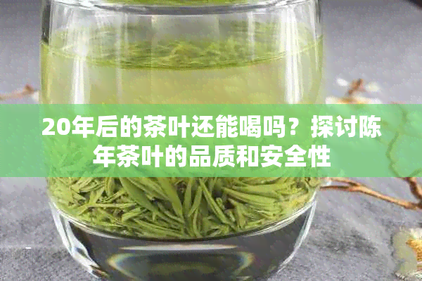 20年后的茶叶还能喝吗？探讨陈年茶叶的品质和安全性