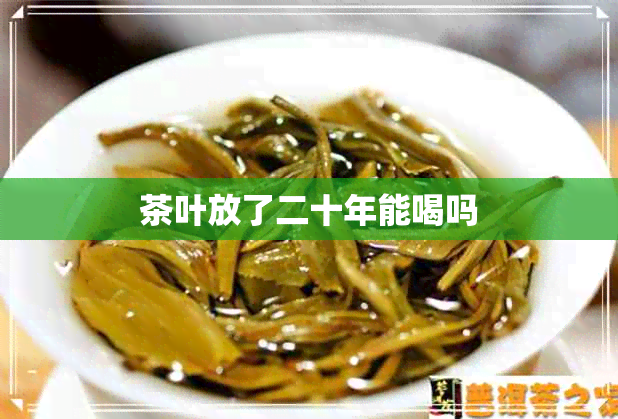 茶叶放了二十年能喝吗