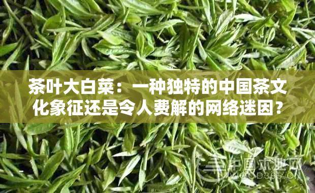 茶叶大白菜：一种独特的中国茶文化象征还是令人费解的网络迷因？