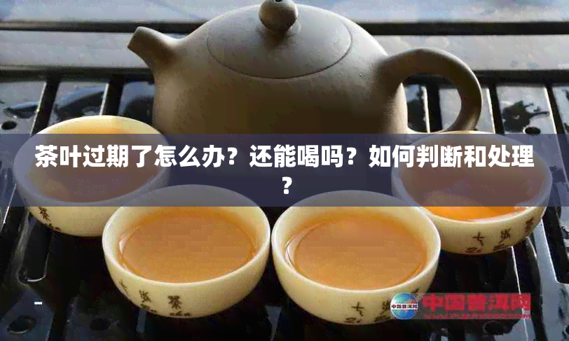 茶叶过期了怎么办？还能喝吗？如何判断和处理？