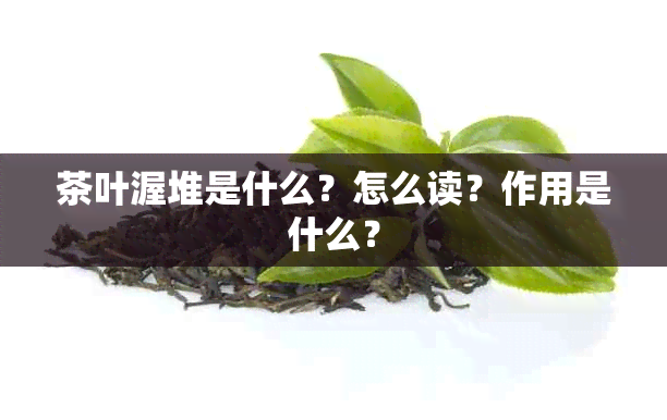 茶叶渥堆是什么？怎么读？作用是什么？