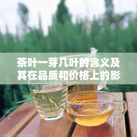 茶叶一芽几叶的含义及其在品质和价格上的影响