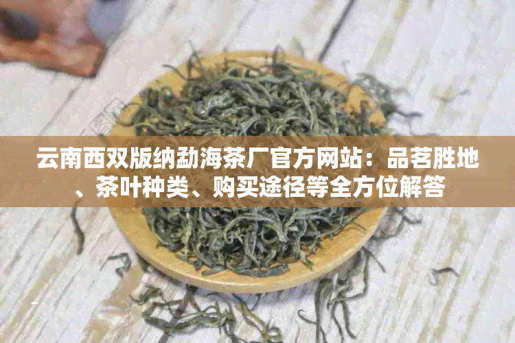 云南西双版纳勐海茶厂官方网站：品茗胜地、茶叶种类、购买途径等全方位解答